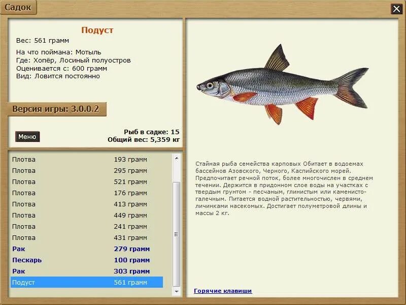 Рыба из карпов 5 букв. Подуст семейство. Подуст Советта. Русская рыбалка 3 Клязьма Подуст. Карповые семейство рыб список.