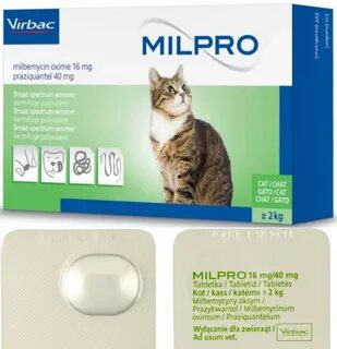 Мильпро для кошек
