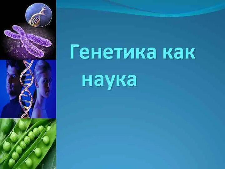 Генетика как наука. Генетика как наука. Наука генетика презентация. Генетика. Изучение механизма наследственности 9 класс.