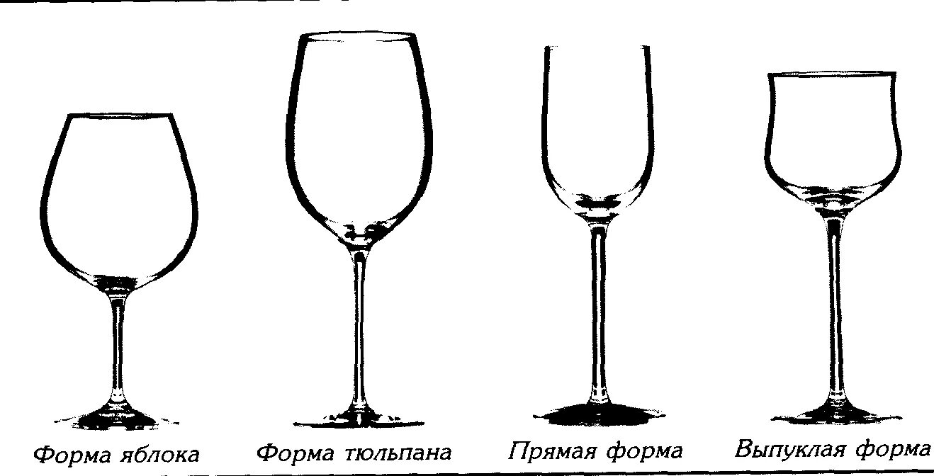 Классификация бокалов для вина. Формы бокалов для вина. Диаметр бокала для вина. Правильная форма бокала для вина. Бокалы для вина отличия