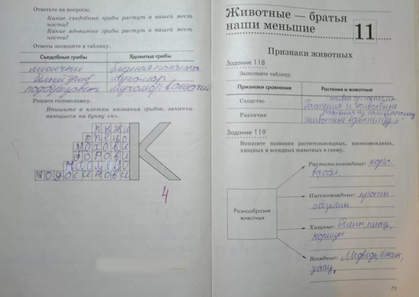 Биология 5 класс рабочая тетрадь. Гдз биология 5 класс рабочая тетрадь. Биология Пакулова 5 класс. Биология 5 класс 119 задание. Биология 5 класс страница 106 ответы