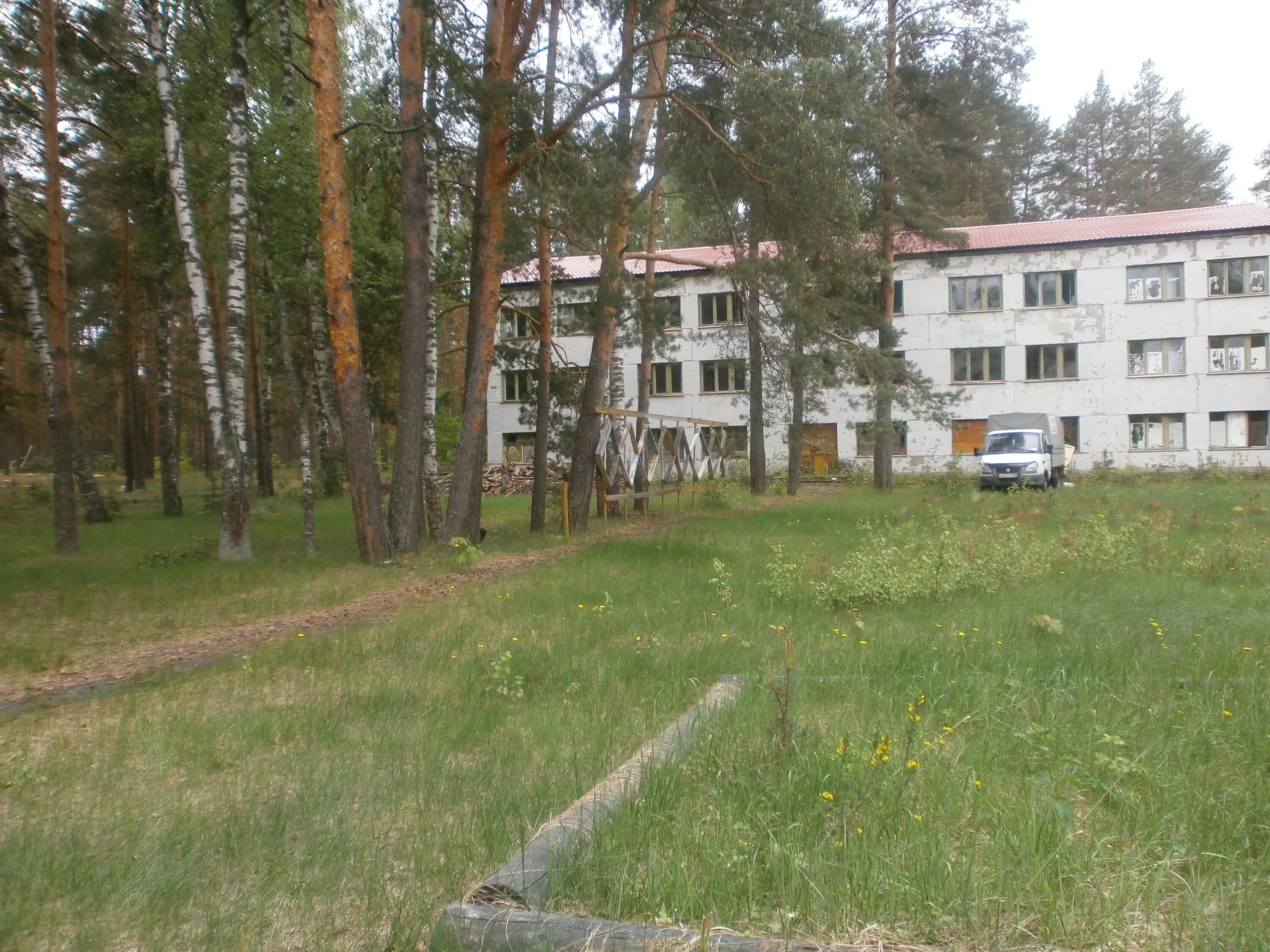 Детский лагерь березка. Детский лагерь березки фото. Лагерь березка новосибирск. Лагерь березка пензенская область. Лагерь березка пенза.