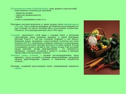 Культурные растения и их происхождение кратко
