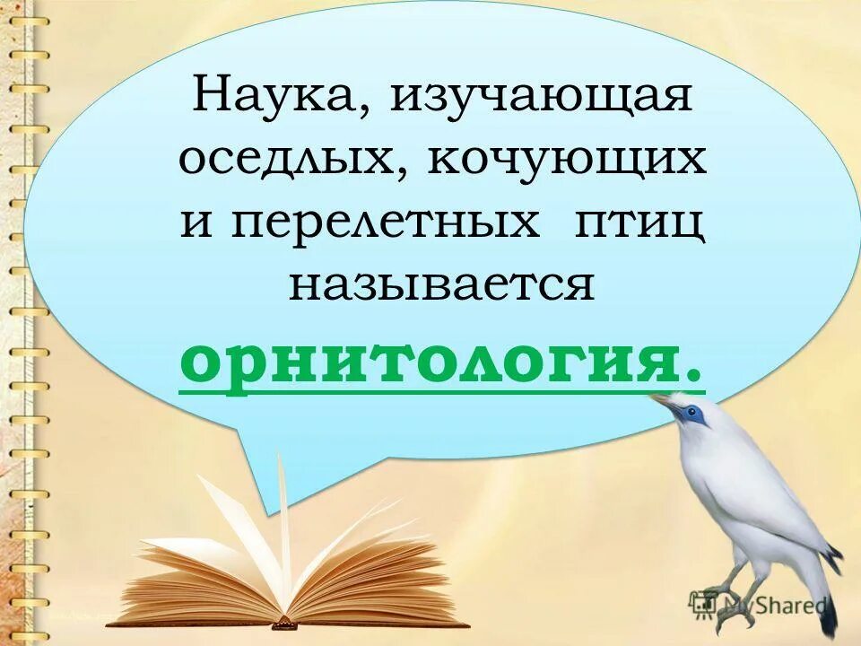 Орнитология наука о птицах. Орнитология это наука изучающая птиц. Наука изучающая птиц. Изучаем птиц. Какая наука изучает птиц.