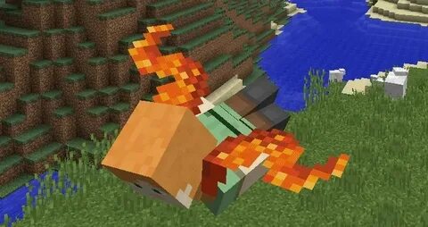 Elytra wings