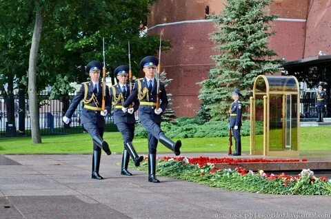 Караул сада