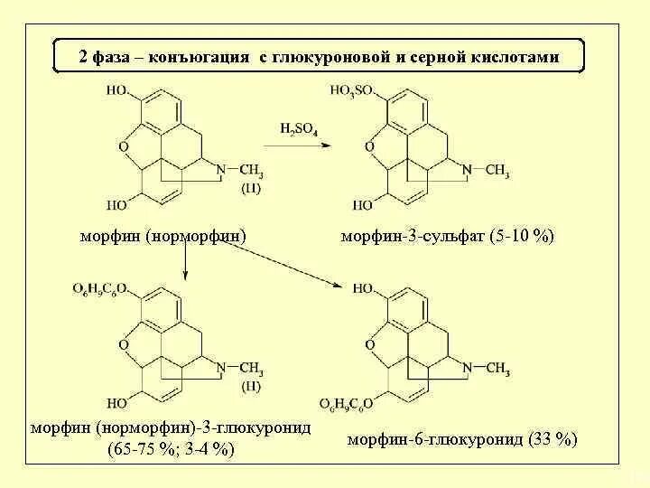 Морфина гидрохлорид формула. Морфин с глюкуроновой кислотой. Метаболизм кодеина с глюкуроновой кислотой. Схема реакций конъюгации. Бромная вода с серной кислотой