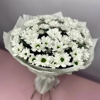 Хризантема кустовая белая