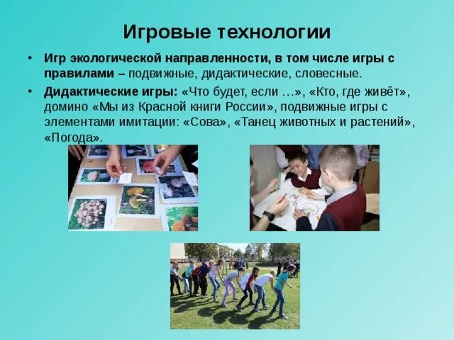 Программы социально экологической направленности. Игры экологической направленности. игровые технологии в школе.