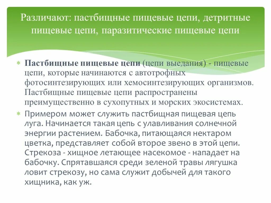 Первое звено пастбищной цепи. Пастбищная пищевая. Пищевые цепи пастбищные и детритные. Пастбищная пищевая цепочка. Пастбищная пищевая цепь и детритная пищевая цепь.