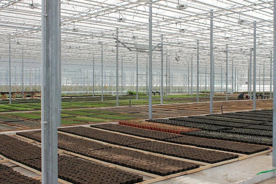 тепличные комплексы dalsem. промышленные теплицы venlo. эко культура тепличный комплекс. тепличный комплекс гринхаус белгородская область. тепличный комплекс агроинвест.
