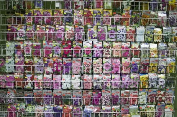 садовый мир интернет магазин семена. каталог семян. садовый мир семян. семена садовый мир магазин. садовый мир семян.