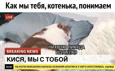 Никуда не хочу