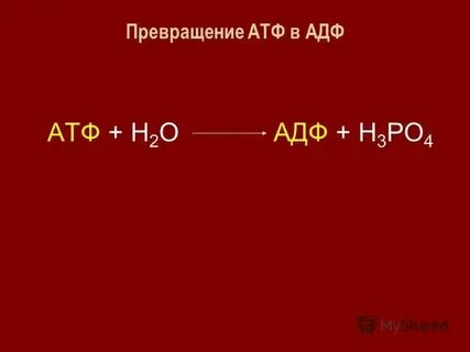 Атф h2o