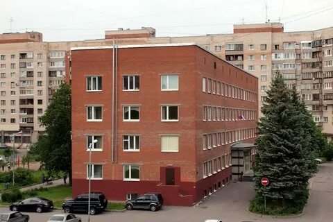 Просвещения 53