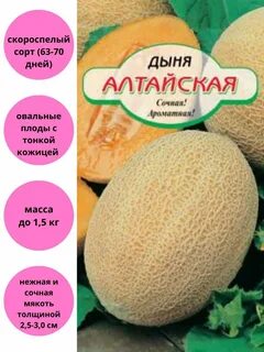 Дыня алтайская описание сорта