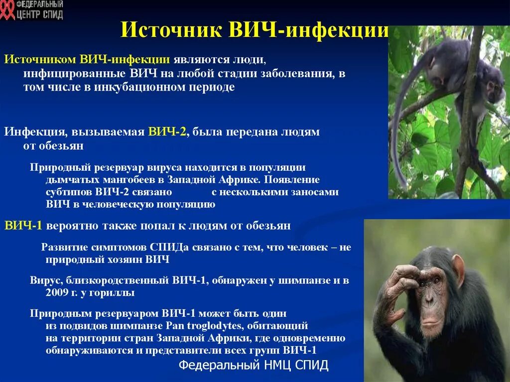 Источником инфекции может быть ответ. Источник ВИЧ инфекции является. Источником инфекции СПИДА являются:. Источники заражения СПИДОМ.