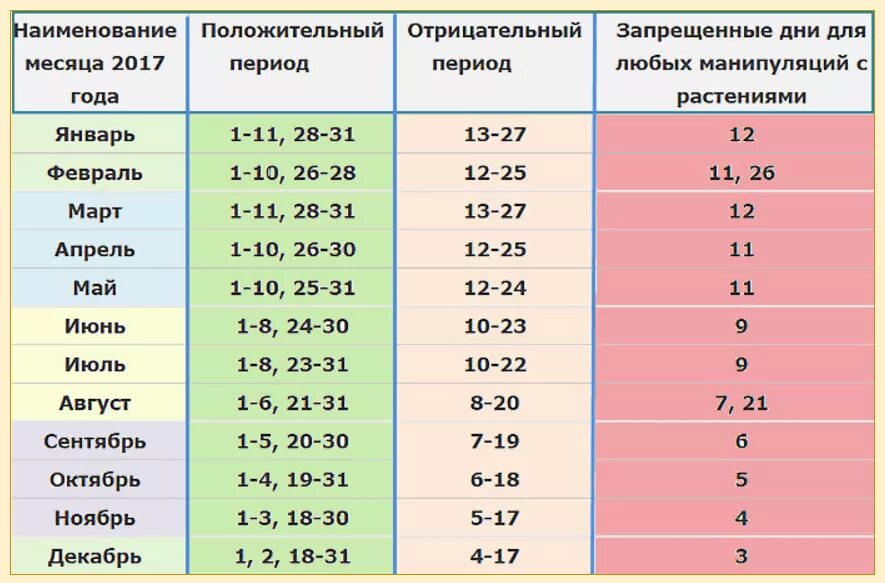 Можно ли сегодня пересаживать растения