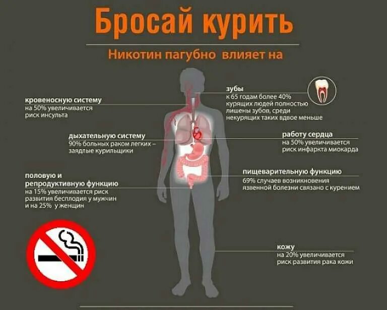 Что наиболее сильно влияет. Влияние никотина на организм человека. Влияние курения на организм человека. Влияние табакокурения на организм человека. Как курение влияет на организм человека.