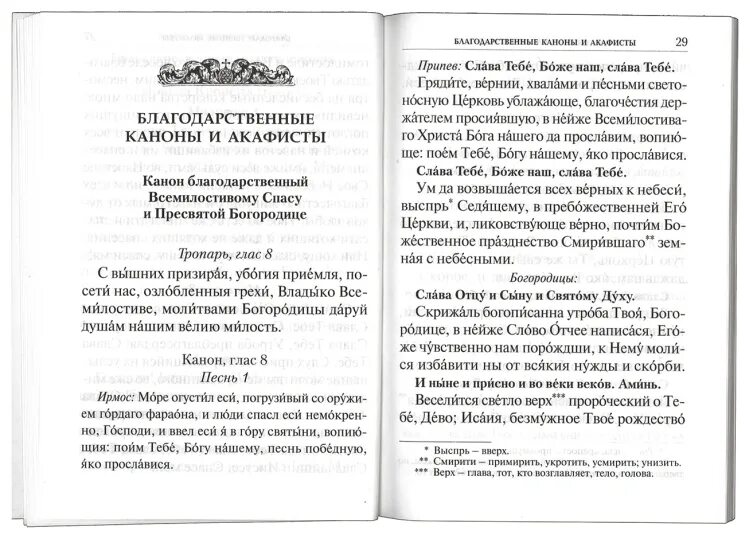 Читать благодарственную молитву богу. Благодарственные молитвы господу богу и пресвятой богородице. благодарственная молитва господу иисусу христу. благодарственная молитва пресвятой богородице. благодарственные молитвы к пресвятой богородице и господу.