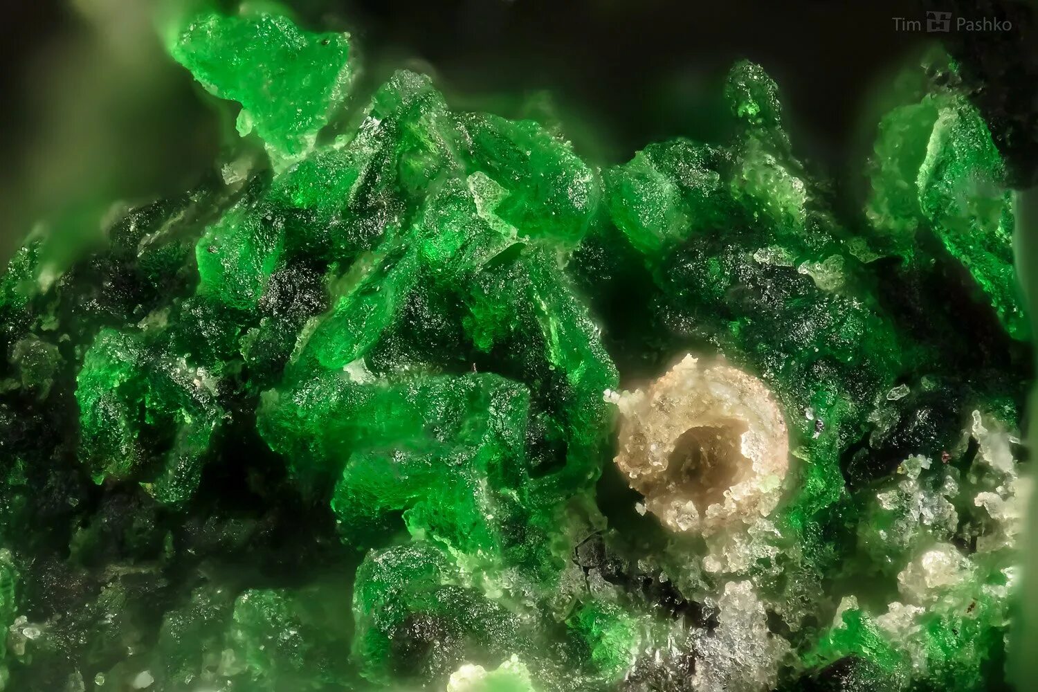 Эвхлорин минерал. Зеленый минерал. Зеленая медь. Минералы Камчатки.