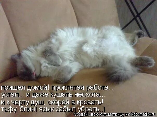 Какой можно прийти с работы. Пришла с работы смешные. наконец то пришла с работы домой. пришел домой. устал после работы.