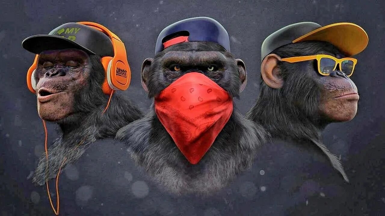 Monkey iphone remix. Обезьяна в кепке. Обезьяна арт. Обезьяна SWAG. Три обезьяны картина.