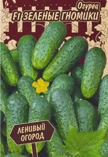 Огурец гномик f1 описание