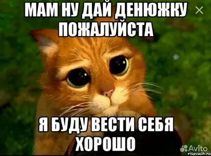 Скинь денег мем