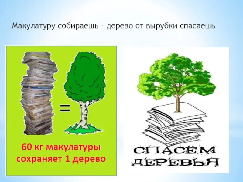 Как можно спасти дерево. Сбор макулатуры. Сбор макулатуры спасем деревья. Собирая малулатуру бережем дерево. Акция спасем дерево сбор макулатуры.