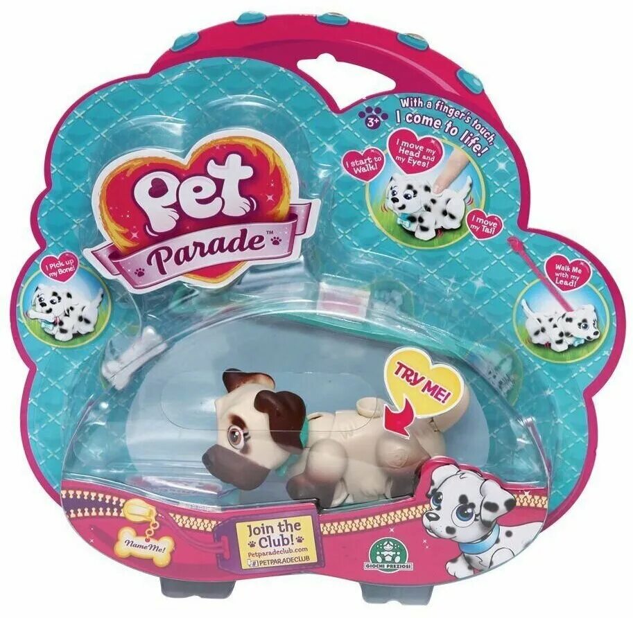 Pet club