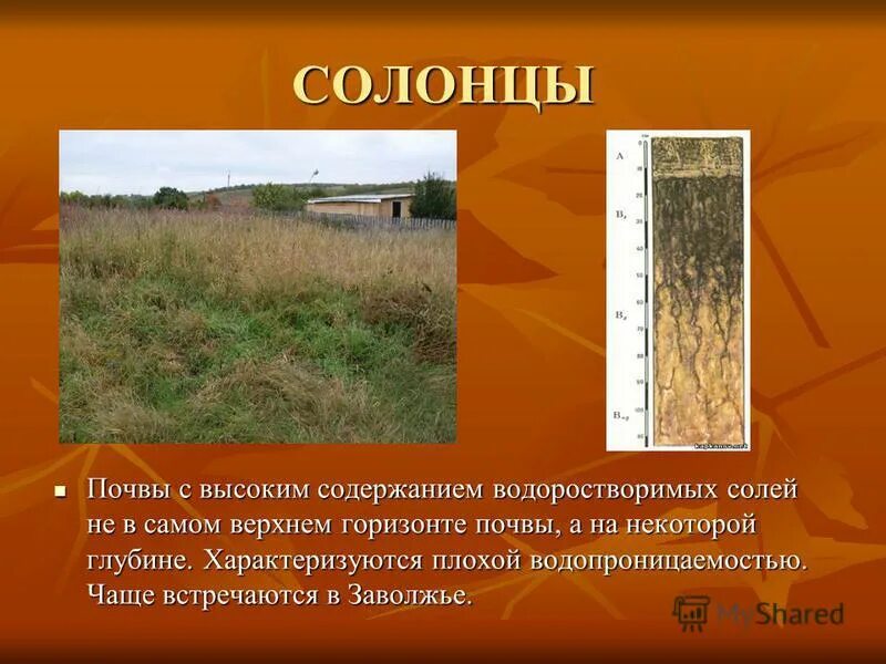 Пустынные солончаки. Почва содержащая соль в большом количестве. Солонцы и солончаки. Солончаковые пустыни. Почва содержащая соль в большом количестве.