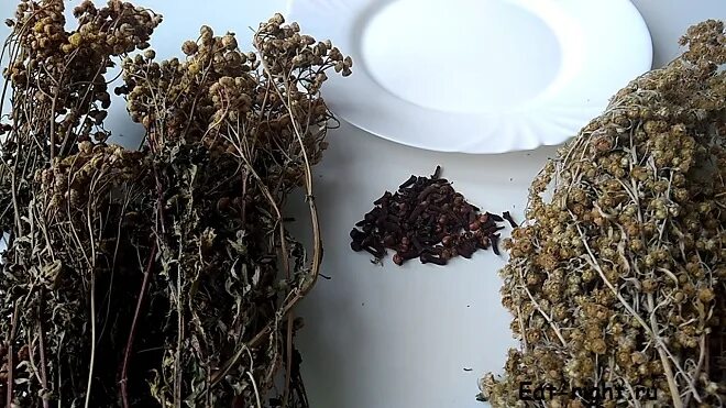 тройчатка полынь пижма гвоздика. тройчатка травы от паразитов. тройчатка травы от паразитов. тройчатка гинекологическая русские корни. русская тройчатка иванченко.