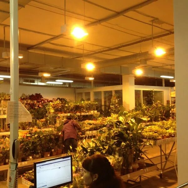 жарден екатеринбург каталог. жарден екатеринбург. жарден серов. жарден екатеринбург каталог. посадская 45 жарден.