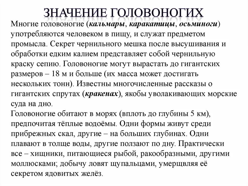 Значение головоногих. Значение класса головоногие. Значение головоногих в природе. Класс головоногие моллюски значение. Роль головоногих