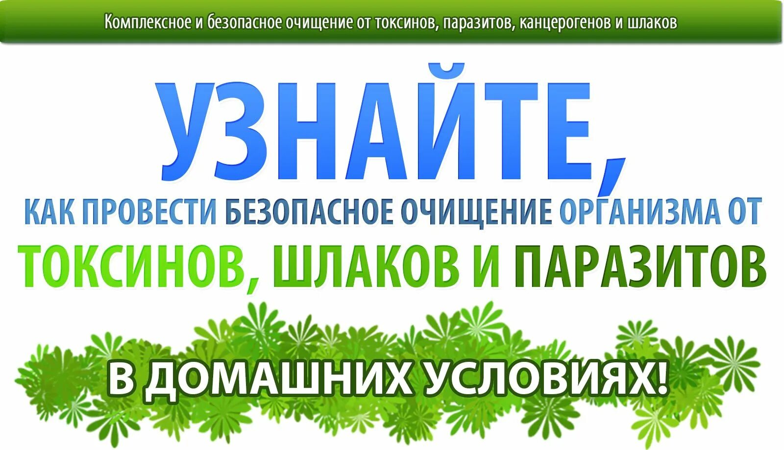 Очистка от шлаков домашних условиях. Очистить организм от шлаков. Очищение от токсинов. Очистка от шлаков и токсинов. Комплексное очищение.