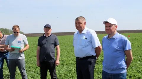 Татарстан новошешминский