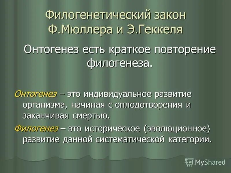 Филогенез. Онтогенез и филогенез. Филогенез историческое развитие. Филогенез это в психологии.