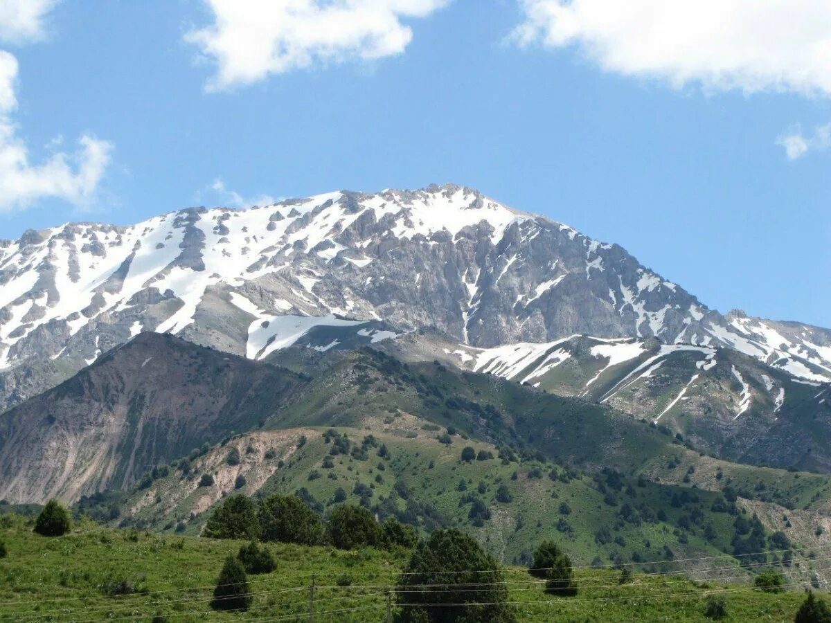 Ташкент горы чимган. Горы тянь-шань узбекистан чимган. Чарвак чимган. Ташкент узбекистан горы чимган. Горы в ташкенте.