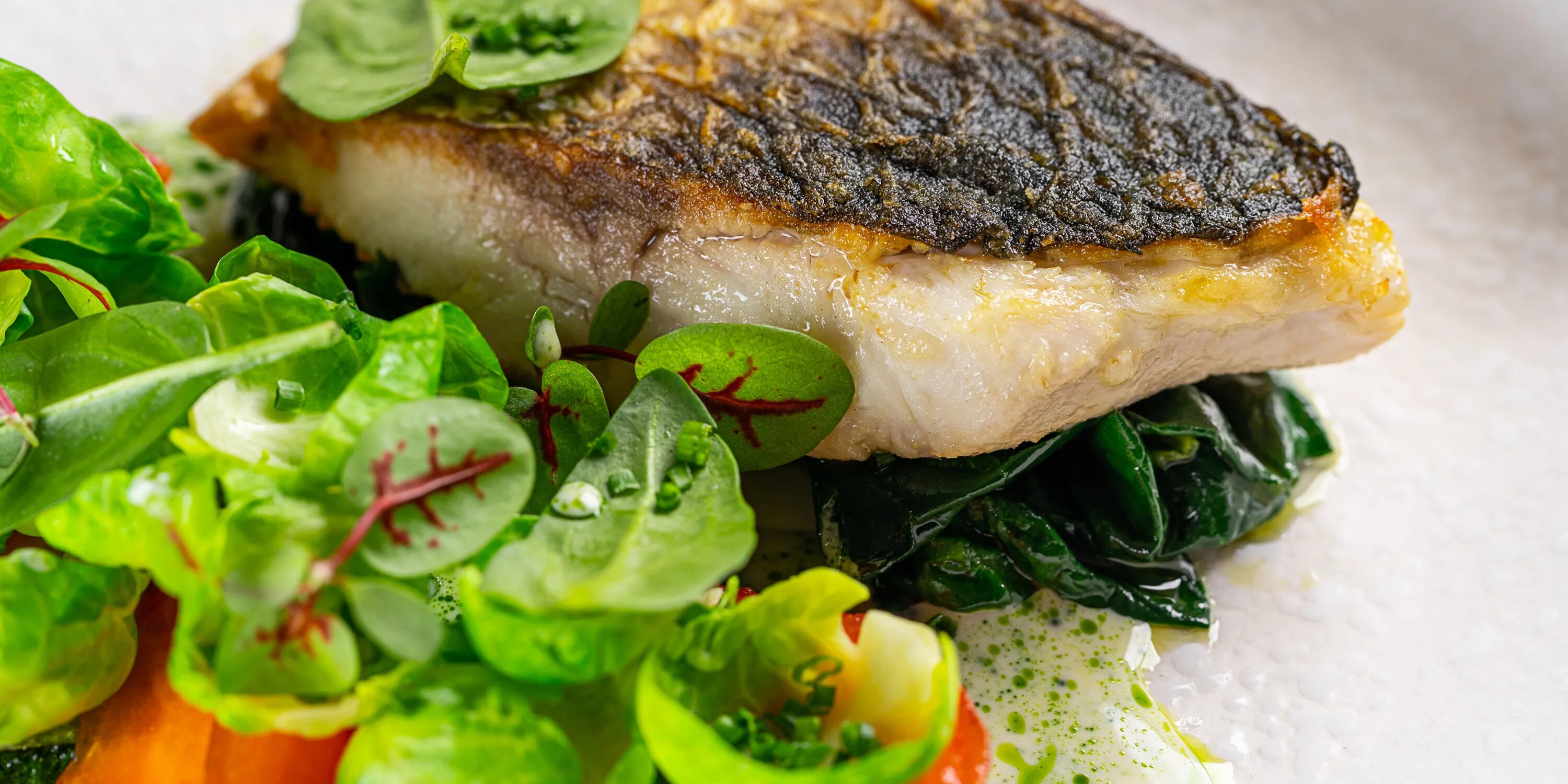 балерина и бифштекс краснодар меню. краснодар, ресторан балерина балерина и бифштекс. балерина и бифштекс. ресторан балерина и бифштекс краснодар.