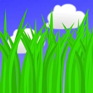 Grass live