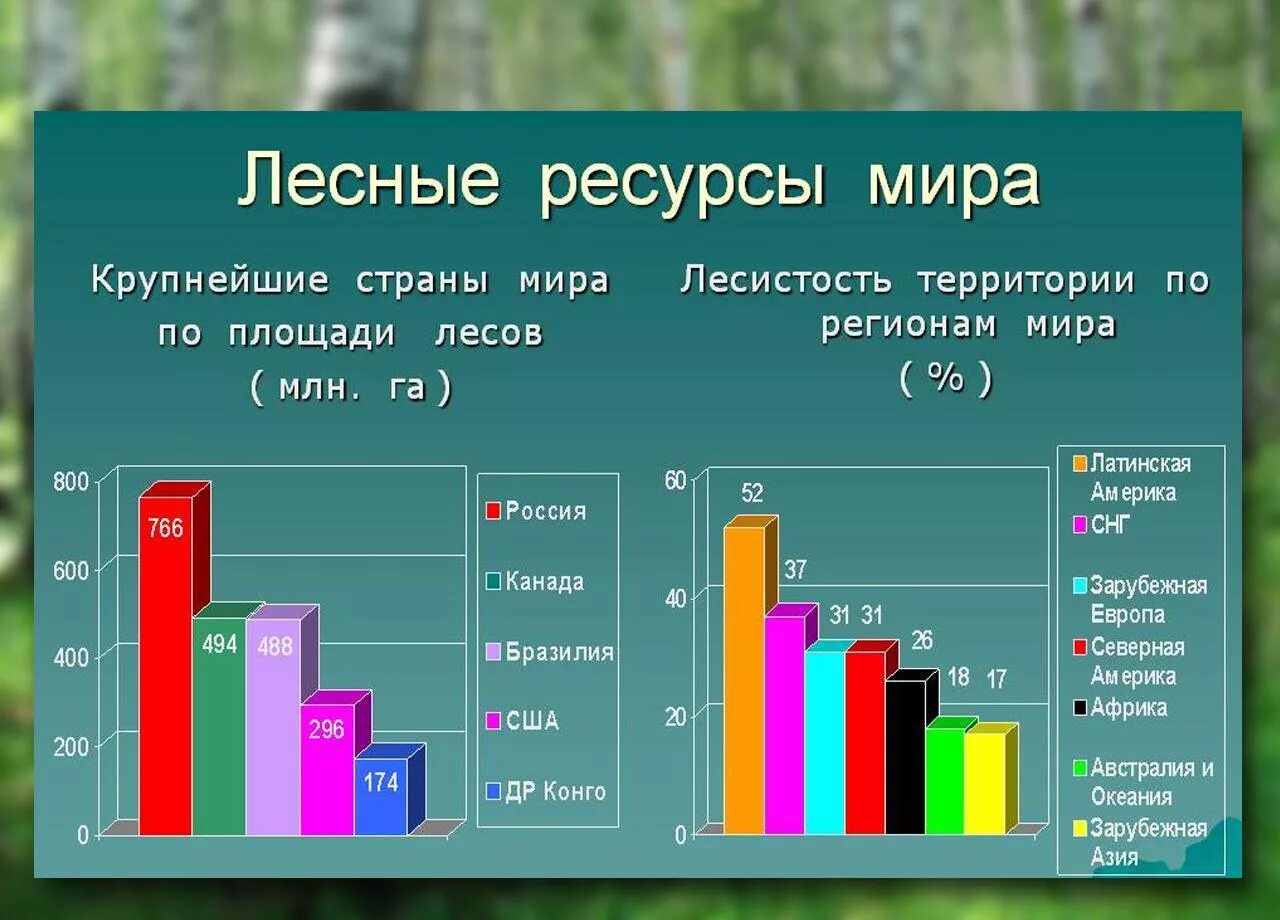 Сколько процентов деревьев составляют