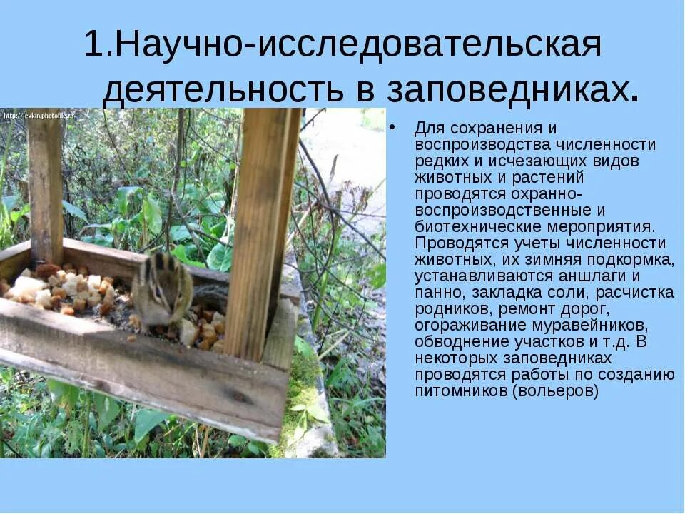 Реши задачу для подкормки животных в зоопарке. Научные работы в заповедниках. сохранение видов животных. научная деятельность в заповеднике. исследовательская активность животных.