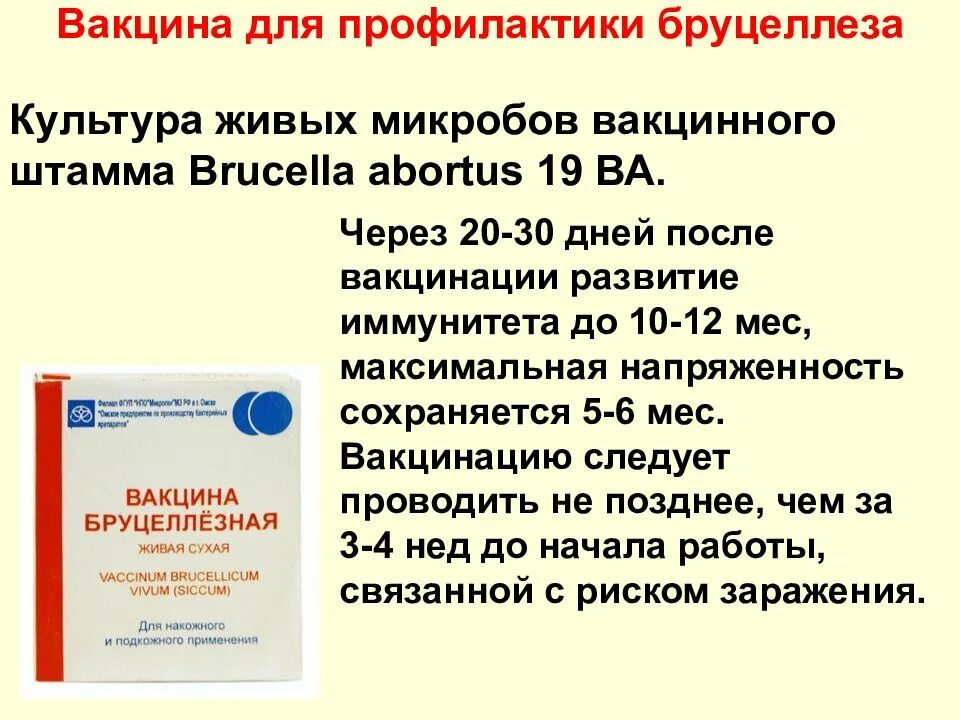 Вакцина от бруцеллеза