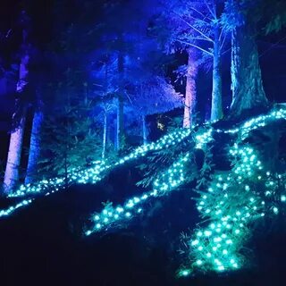 Город сверкающий на солнце синие леса