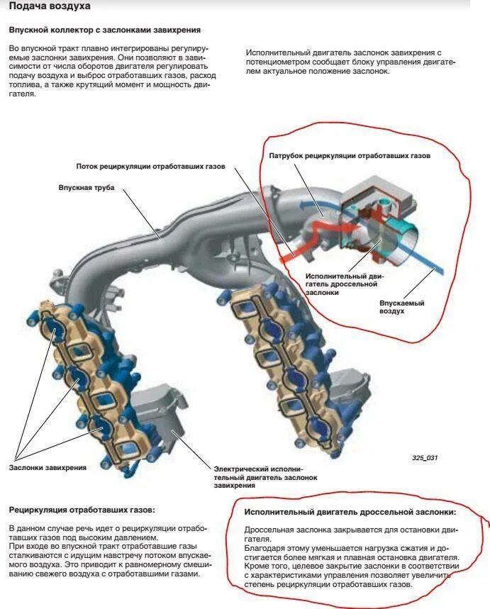 Коллекторов дизеля