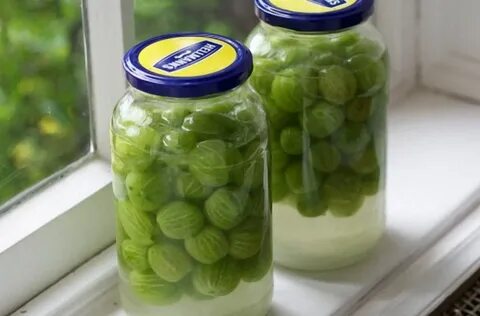 Компот из крыжовника рецепт банку