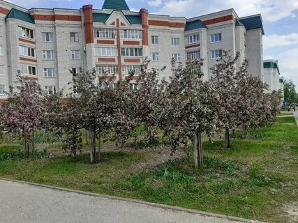 Зеленодольск ул