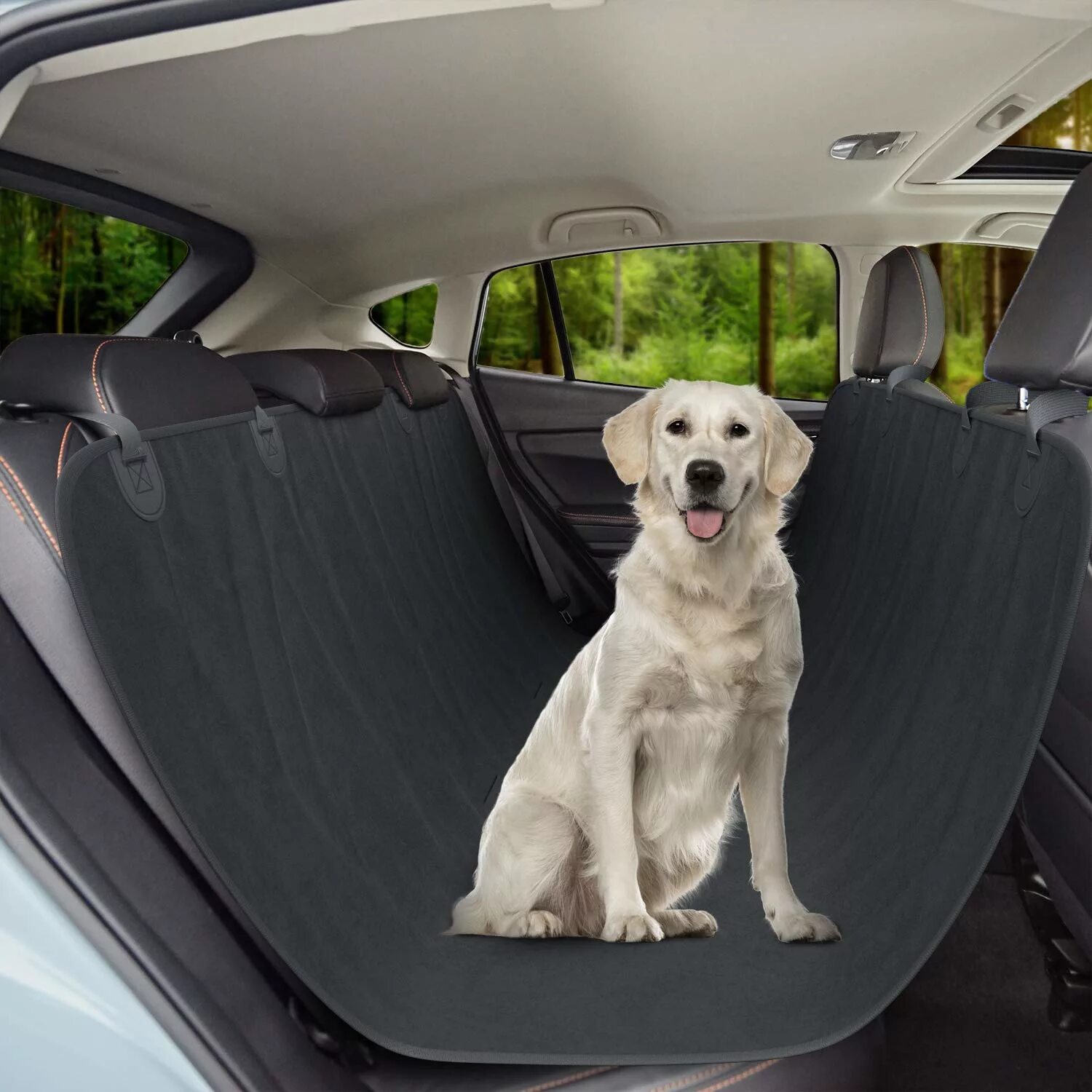 Машинки для собак рейтинг. Собака в авто. Путешествие на автомобиле с собакой. Собака в тачке. Автомобиль собака лето.