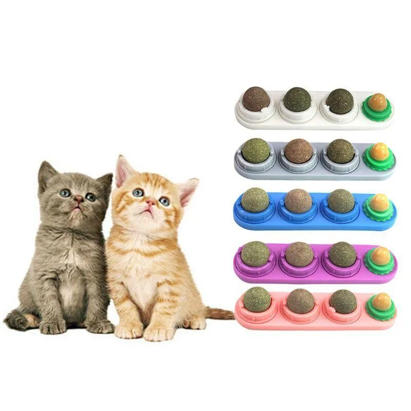 Cat set